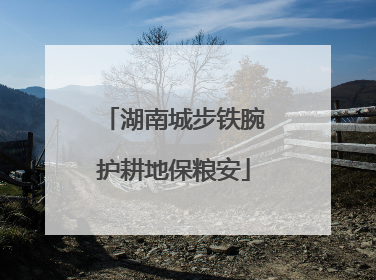 湖南城步铁腕护耕地保粮安