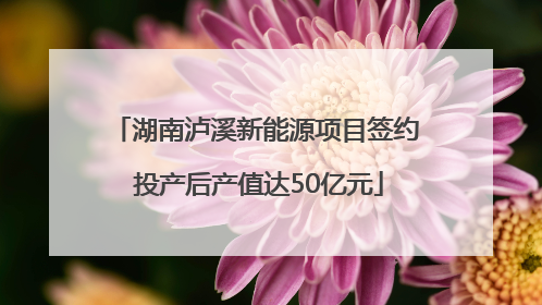 湖南泸溪新能源项目签约 投产后产值达50亿元