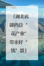 湖北省郧西县“花产业”带来好“钱”景