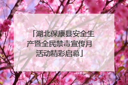 湖北保康县安全生产暨全民禁毒宣传月活动精彩启幕