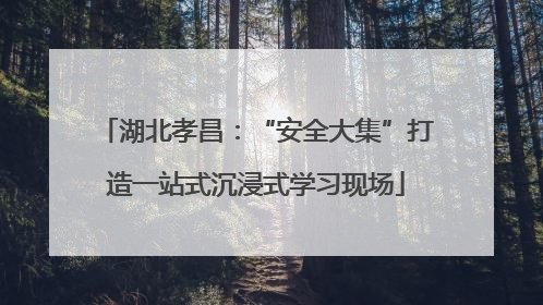 湖北孝昌：“安全大集”打造一站式沉浸式学习现场