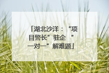 湖北沙洋：“项目警长”驻企 “一对一”解难题
