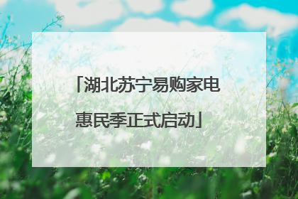 湖北苏宁易购家电惠民季正式启动