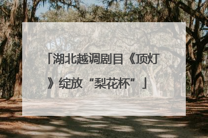 湖北越调剧目《顶灯》绽放“梨花杯”