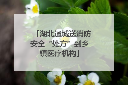 湖北通城送消防安全“处方”到乡镇医疗机构