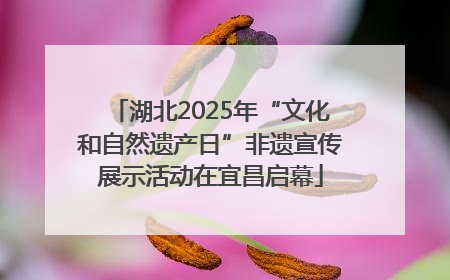 湖北2025年“文化和自然遗产日”非遗宣传展示活动在宜昌启幕