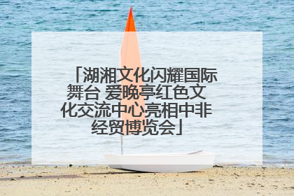 湖湘文化闪耀国际舞台 爱晚亭红色文化交流中心亮相中非经贸博览会