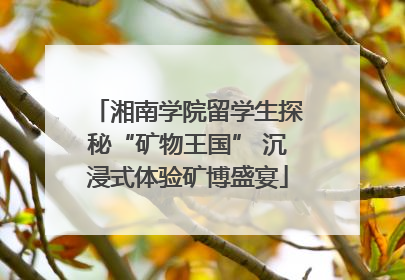 湘南学院留学生探秘“矿物王国” 沉浸式体验矿博盛宴