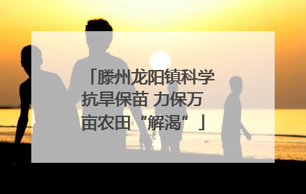 滕州龙阳镇科学抗旱保苗 力保万亩农田“解渴”