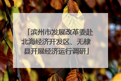 滨州市发展改革委赴北海经济开发区、无棣县开展经济运行调研