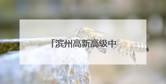 滨州高新高级中学2025年普通高中招生简章