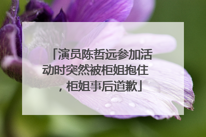演员陈哲远参加活动时突然被柜姐抱住，柜姐事后道歉