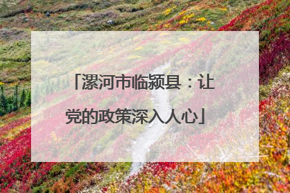 漯河市临颍县：让党的政策深入人心