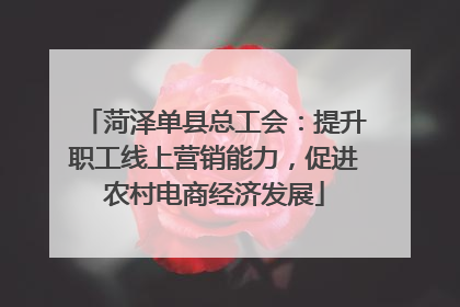 菏泽单县总工会：提升职工线上营销能力，促进农村电商经济发展