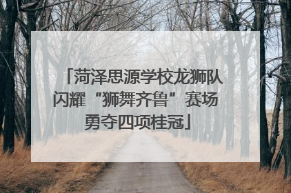 菏泽思源学校龙狮队闪耀“狮舞齐鲁”赛场 勇夺四项桂冠