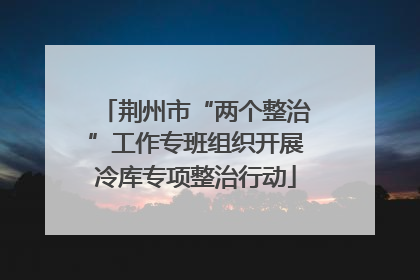 荆州市“两个整治”工作专班组织开展冷库专项整治行动