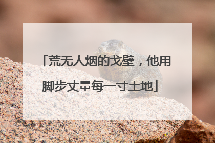 荒无人烟的戈壁，他用脚步丈量每一寸土地