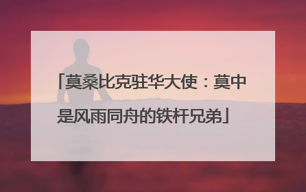 莫桑比克驻华大使：莫中是风雨同舟的铁杆兄弟