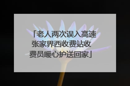 老人两次误入高速 张家界西收费站收费员暖心护送回家