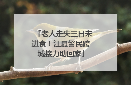 老人走失三日未进食！江夏警民跨城接力助回家