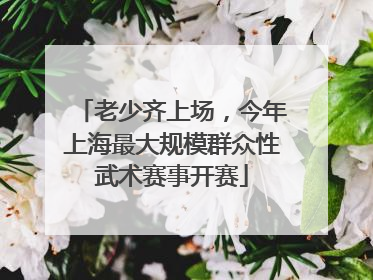 老少齐上场，今年上海最大规模群众性武术赛事开赛