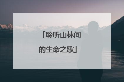 聆听山林间的生命之歌