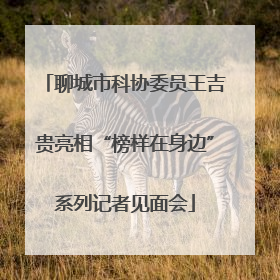 聊城市科协委员王吉贵亮相“榜样在身边”系列记者见面会