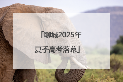 聊城2025年夏季高考落幕
