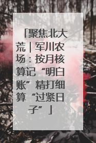 聚焦北大荒｜军川农场：按月核算记“明白账”精打细算“过紧日子”