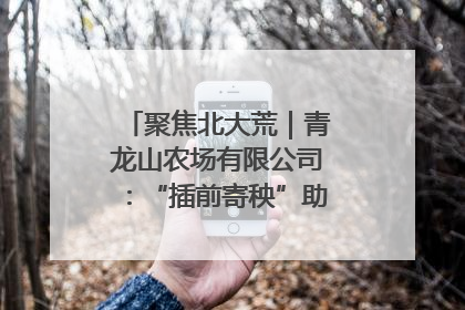 聚焦北大荒｜青龙山农场有限公司：“插前寄秧”助力农业节本增效