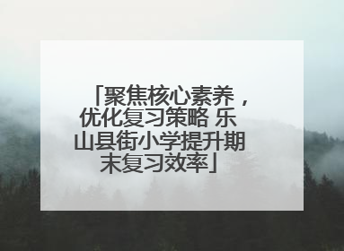聚焦核心素养，优化复习策略 乐山县街小学提升期末复习效率