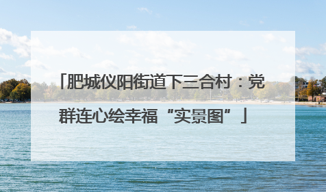 肥城仪阳街道下三合村：党群连心绘幸福“实景图”