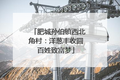 肥城孙伯镇西北角村：洋葱丰收圆百姓致富梦