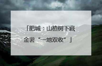 肥城：山楂树下藏金薯“一地双收”