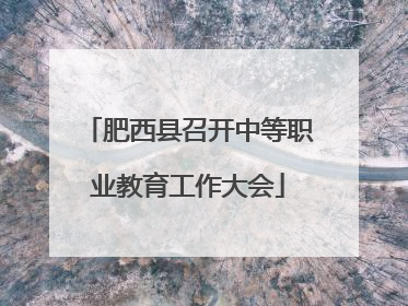 肥西县召开中等职业教育工作大会