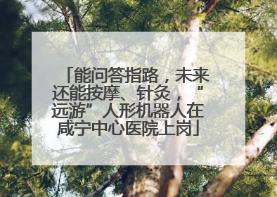 能问答指路，未来还能按摩、针灸，“远游”人形机器人在咸宁中心医院上岗