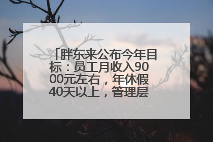 胖东来公布今年目标：员工月收入9000元左右，年休假40天以上，管理层人均分配70万元