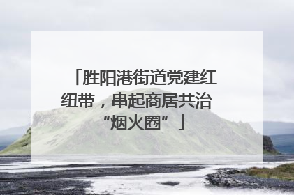 胜阳港街道党建红纽带，串起商居共治 “烟火圈”