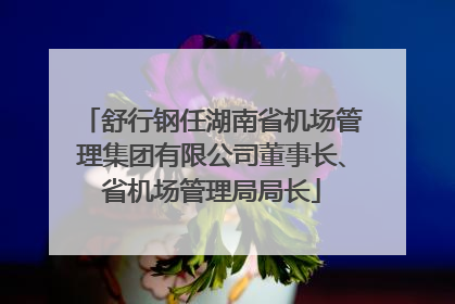 舒行钢任湖南省机场管理集团有限公司董事长、省机场管理局局长