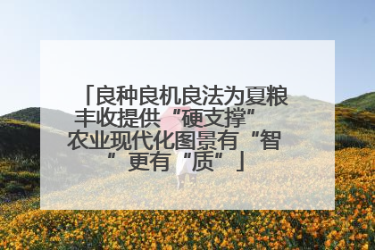 良种良机良法为夏粮丰收提供“硬支撑” 农业现代化图景有“智”更有“质”