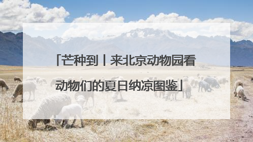 芒种到丨来北京动物园看动物们的夏日纳凉图鉴
