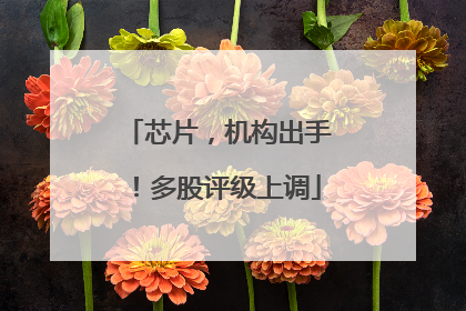 芯片，机构出手！多股评级上调