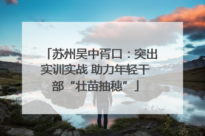 苏州吴中胥口：突出实训实战 助力年轻干部“壮苗抽穗”