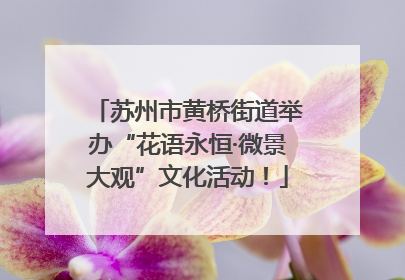 苏州市黄桥街道举办“花语永恒·微景大观”文化活动！