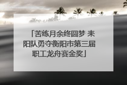 苦练月余终圆梦 耒阳队勇夺衡阳市第三届职工龙舟赛金奖