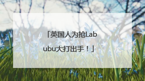 英国人为抢Labubu大打出手！