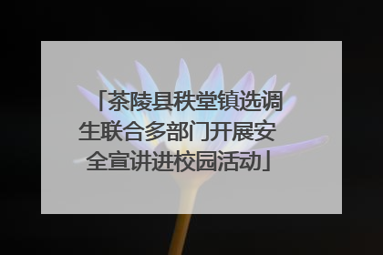 茶陵县秩堂镇选调生联合多部门开展安全宣讲进校园活动