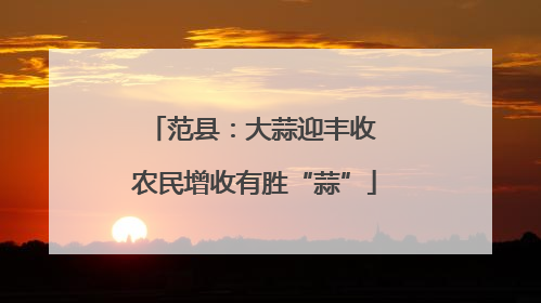 范县：大蒜迎丰收 农民增收有胜“蒜”