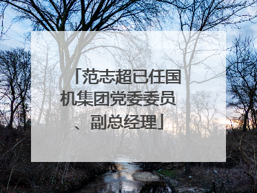 范志超已任国机集团党委委员、副总经理