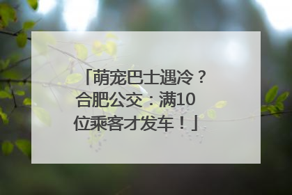 萌宠巴士遇冷？合肥公交：满10位乘客才发车！